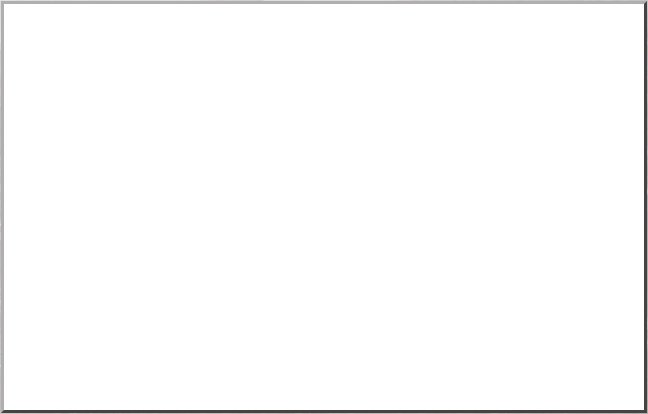 video border